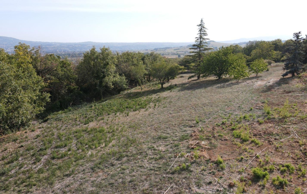 Annonces CHATILLON : Ground | MARCY (69480) | 0 m2 | 338 000 € 