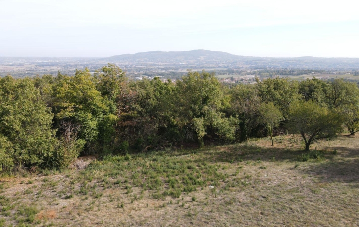  Annonces CHATILLON Ground | MARCY (69480) | 0 m2 | 338 000 € 